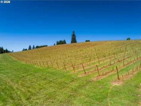 1488 Red Hill Road Oakland OR 97462