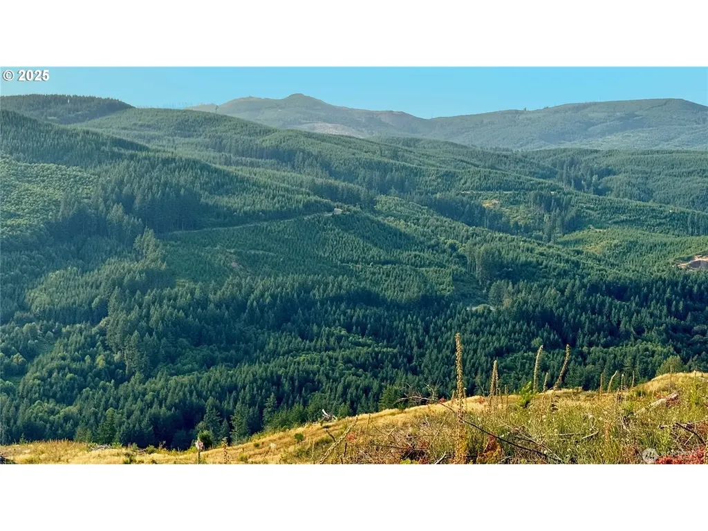 3727 Little Kalama River Road Woodland WA 98674