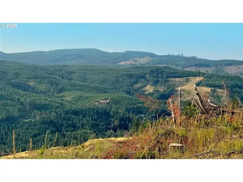 3727 Little Kalama River Road Woodland WA 98674