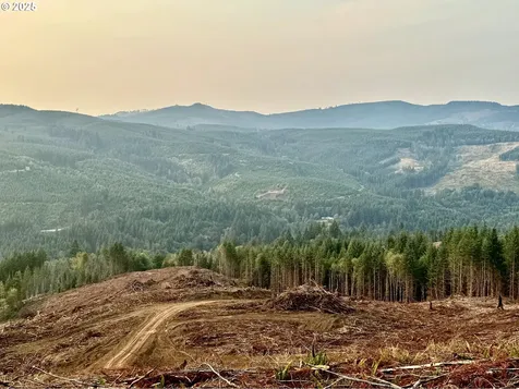 3727 Little Kalama River Road Woodland WA 98674