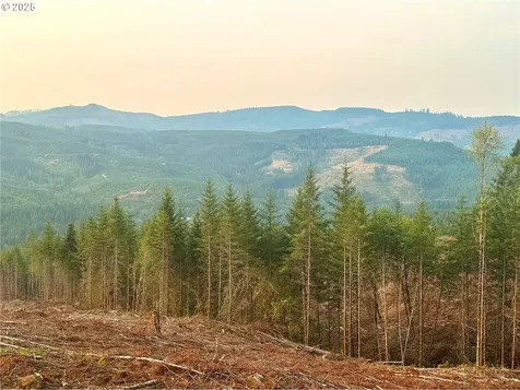 3727 Little Kalama River Road Woodland WA 98674