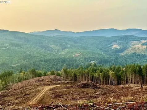 3727 Little Kalama River Road Woodland WA 98674