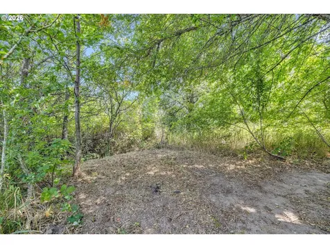 1041 Cannon Drive Hood River OR 97031