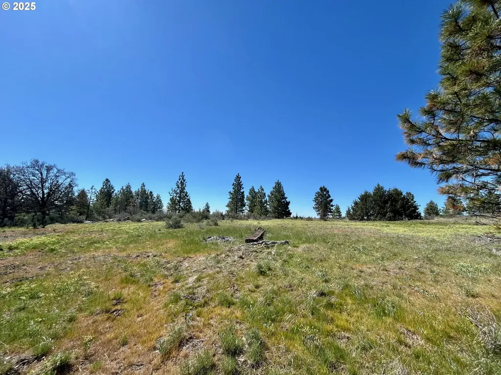 2 Lots On Pine Street Bickleton WA 99322