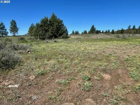 2 Lots On Pine Street Bickleton WA 99322