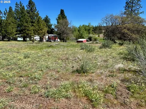 2 Lots On Pine Street Bickleton WA 99322