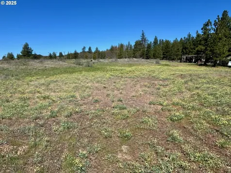 2 Lots On Pine Street Bickleton WA 99322