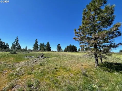 2 Lots On Pine Street Bickleton WA 99322