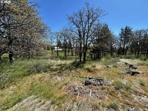 2 Lots On Pine Street Bickleton WA 99322