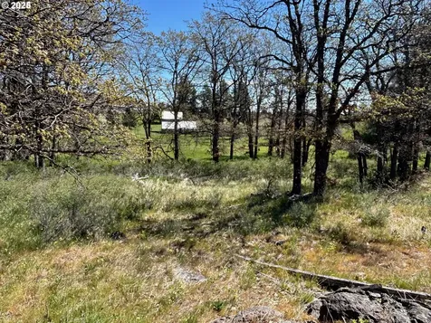 2 Lots On Pine Street Bickleton WA 99322