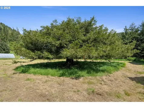 13485 Trask River Road Tillamook OR 97141