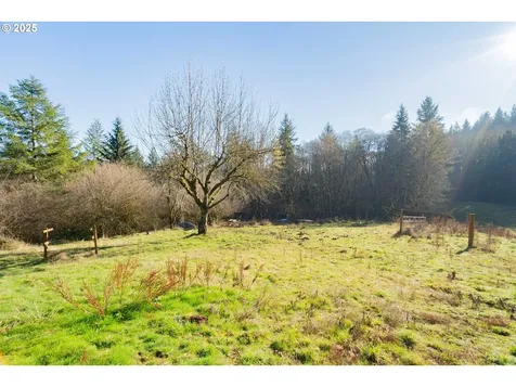 355 Slide Creek Road Longview WA 98632