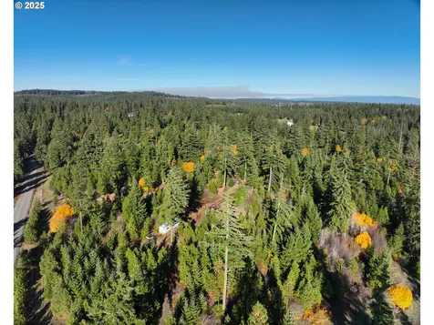 25 Remington Road Lyle WA 98635