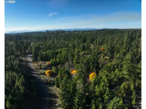 25 Remington Road Lyle WA 98635