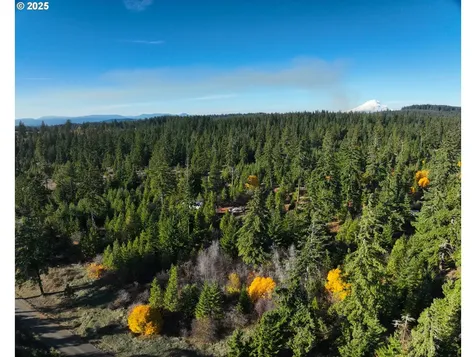 25 Remington Road Lyle WA 98635