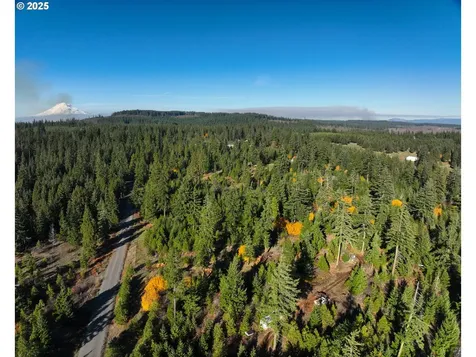 25 Remington Road Lyle WA 98635