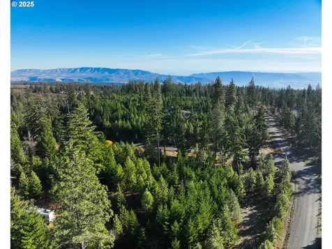 25 Remington Road Lyle WA 98635