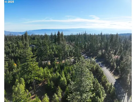 25 Remington Road Lyle WA 98635