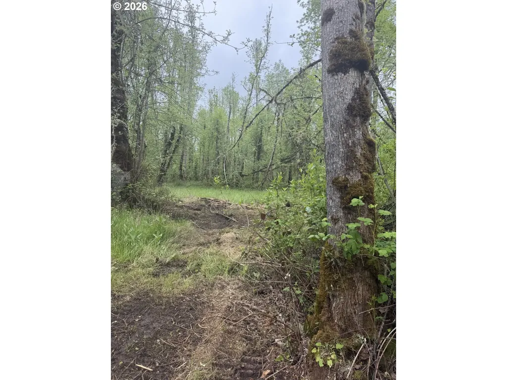 82750 Bear Creek Road Creswell OR 97426