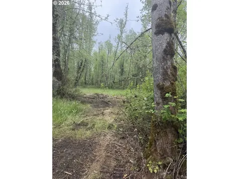 82750 Bear Creek Road Creswell OR 97426