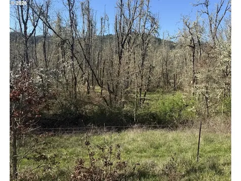 82750 Bear Creek Road Creswell OR 97426