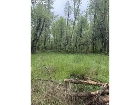 82750 Bear Creek Road Creswell OR 97426