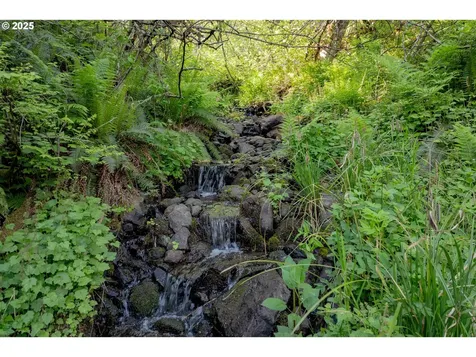 35919 NE 25th Circle Washougal WA 98671