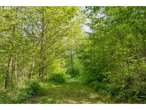 35919 NE 25th Circle Washougal WA 98671