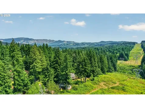28605 NE Reilly Road Camas WA 98607