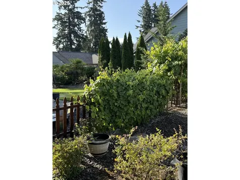 16103 NE 102nd Way Vancouver WA 98682