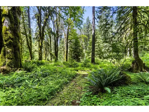 39105 SE Gordon Creek Road Corbett OR 97019