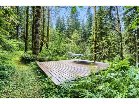 39105 SE Gordon Creek Road Corbett OR 97019
