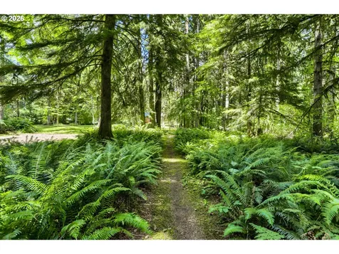 39105 SE Gordon Creek Road Corbett OR 97019