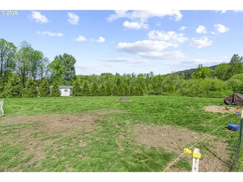 24716 NE 419th Street Amboy WA 98601