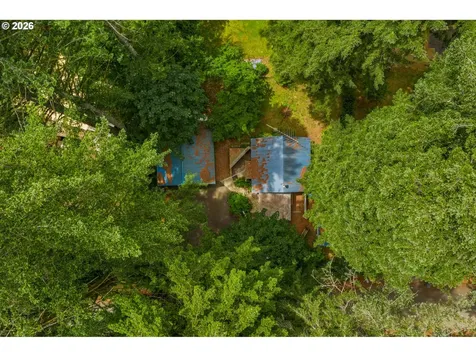 131 Cougar Loop Road Cougar WA 98616