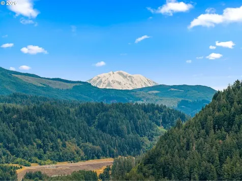 131 Cougar Loop Road Cougar WA 98616