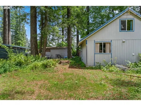 131 Cougar Loop Road Cougar WA 98616
