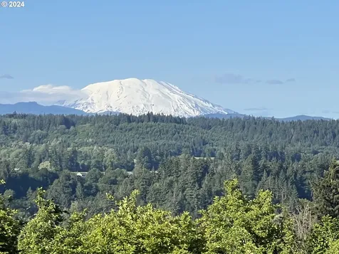 27309 NE 29th Avenue Ridgefield WA 98642