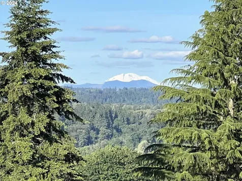 27309 NE 29th Avenue Ridgefield WA 98642