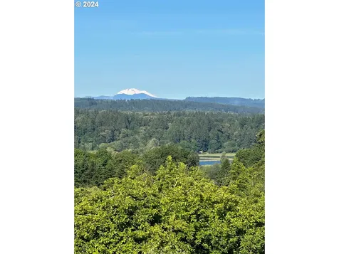 27309 NE 29th Avenue Ridgefield WA 98642