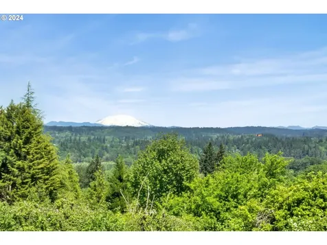 27309 NE 29th Avenue Ridgefield WA 98642