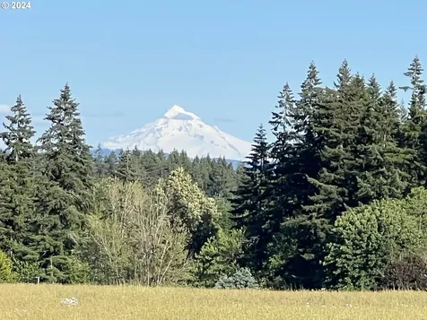 27309 NE 29th Avenue Ridgefield WA 98642