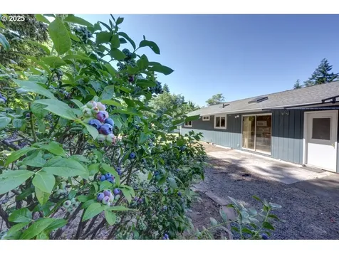 92655 Camelia Road Astoria OR 97103