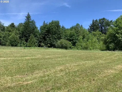 171 Mask Lane Toutle WA 98649