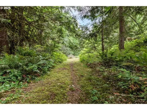 30004 Scappoose Vernonia Highway Scappoose OR 97056