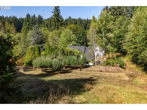 19111 NE 174th Street Brush Prairie WA 98606