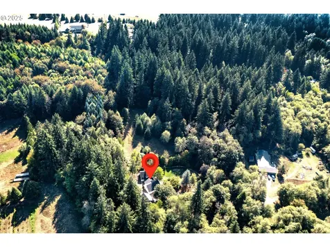 19111 NE 174th Street Brush Prairie WA 98606
