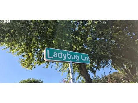 523 Ladybug Lane Roseburg OR 97470