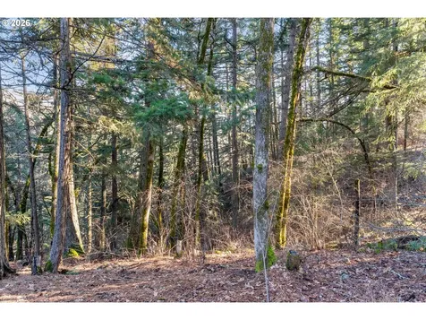 32 Hamilton Avenue Underwood WA 98651