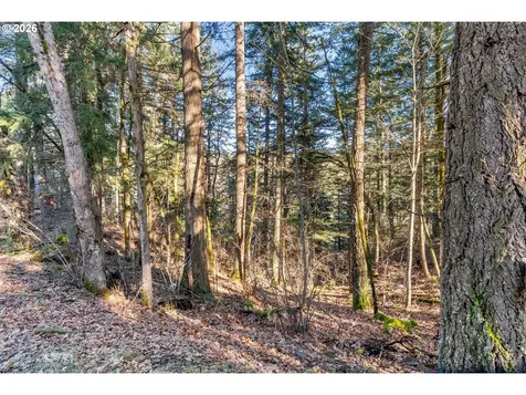 32 Hamilton Avenue Underwood WA 98651